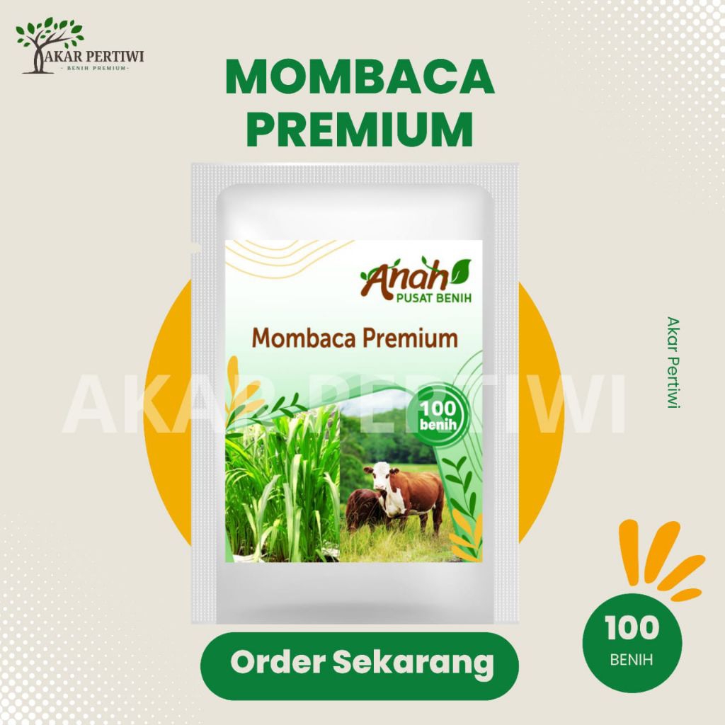 Akar Pertiwi - Benih Biji Mombaca Premium Pakan Ternak Sapi Kambing 100 Benih