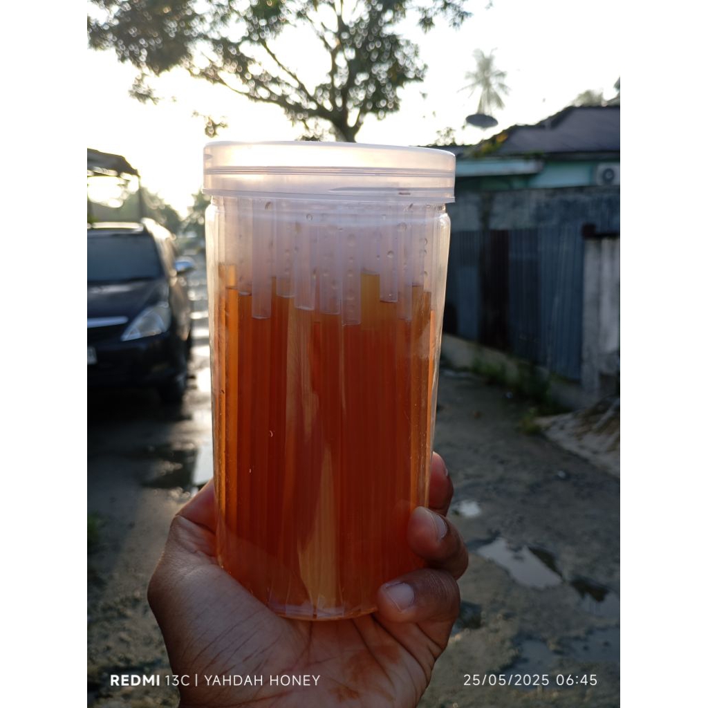 

Madu stik klanceng itama