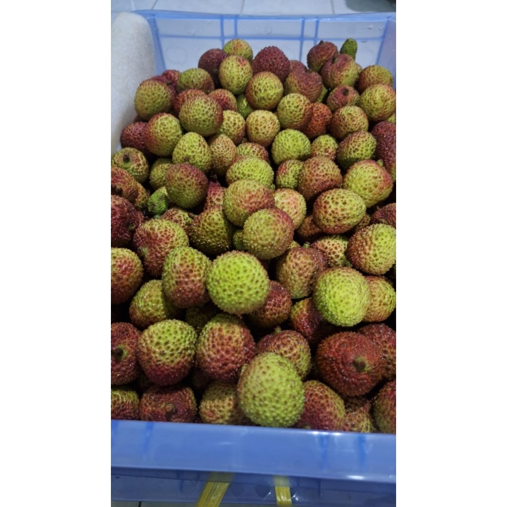 

Buah Leci Segar 1 Keranjang Buah Leci Madu