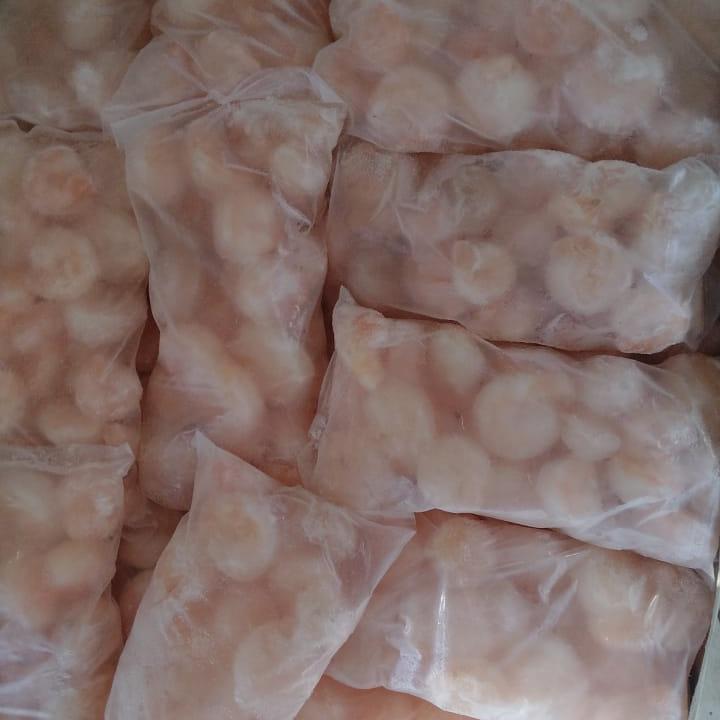 

Udang Cooked Size XL (1 KG)