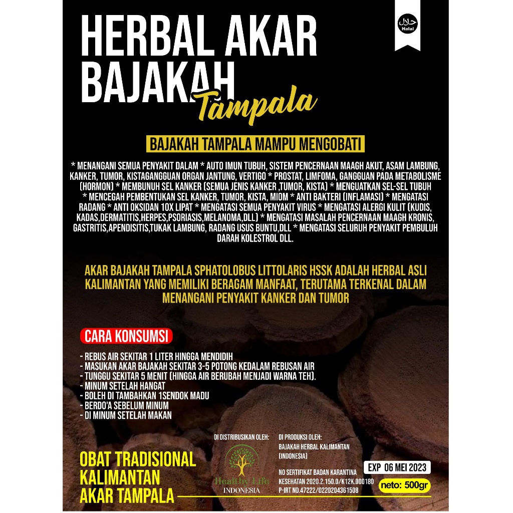 

Akar Bajakah Asli Kalimantan Kayu Bajakah