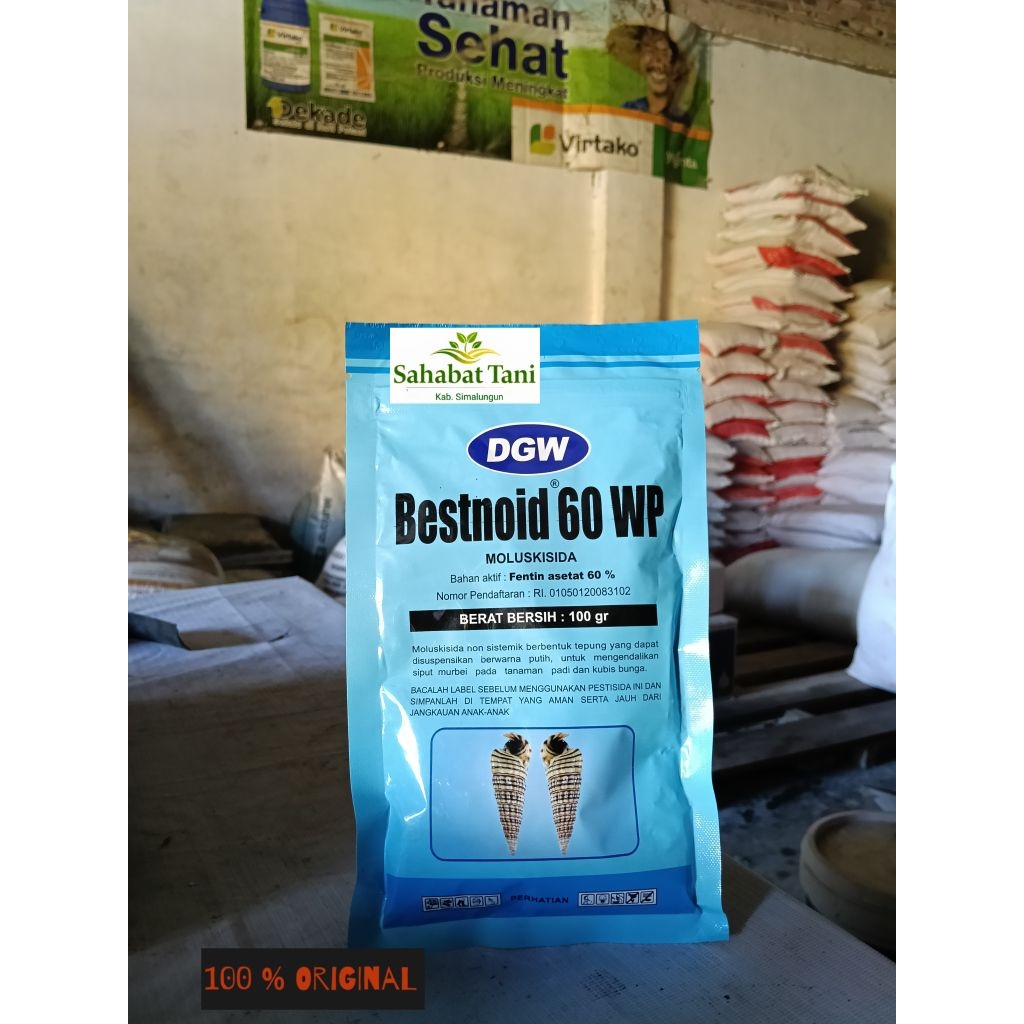 bestnoid 60 WP 100 gr