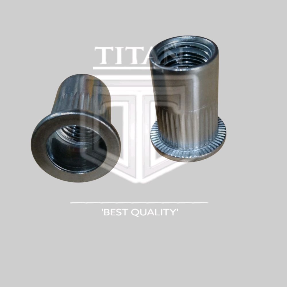 1 Pcs rivet nut M5 x 13 stainless steel 304 nut rivet /  mur tanam / mur furniture / insert nut