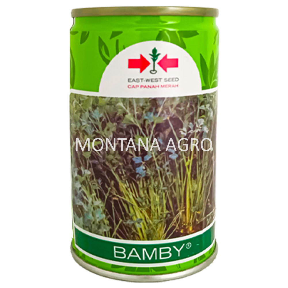 BIBIT SELEDRI BAMBY EAST-WEST SEED CAP PANAH MERAH / BENIH SELEDRI BAMBY