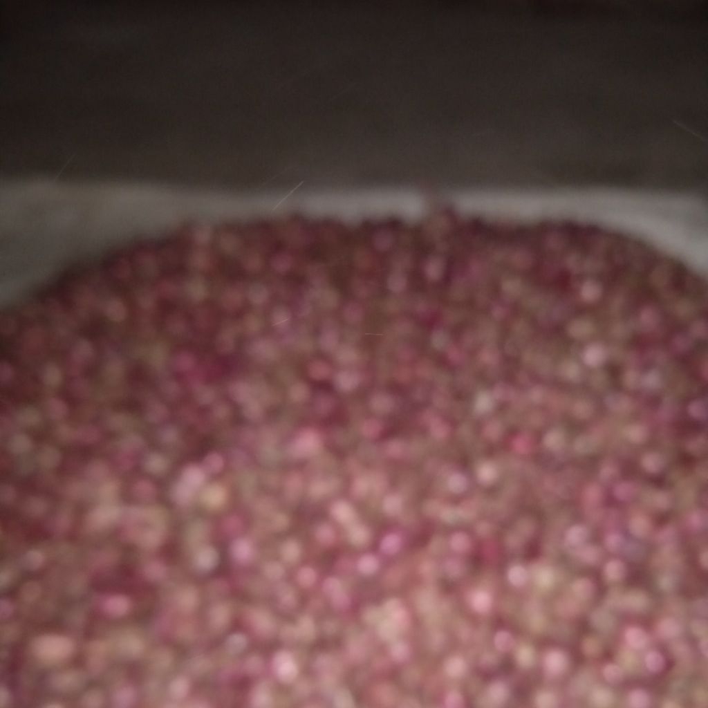 

bawang merah kemasan 1 kg