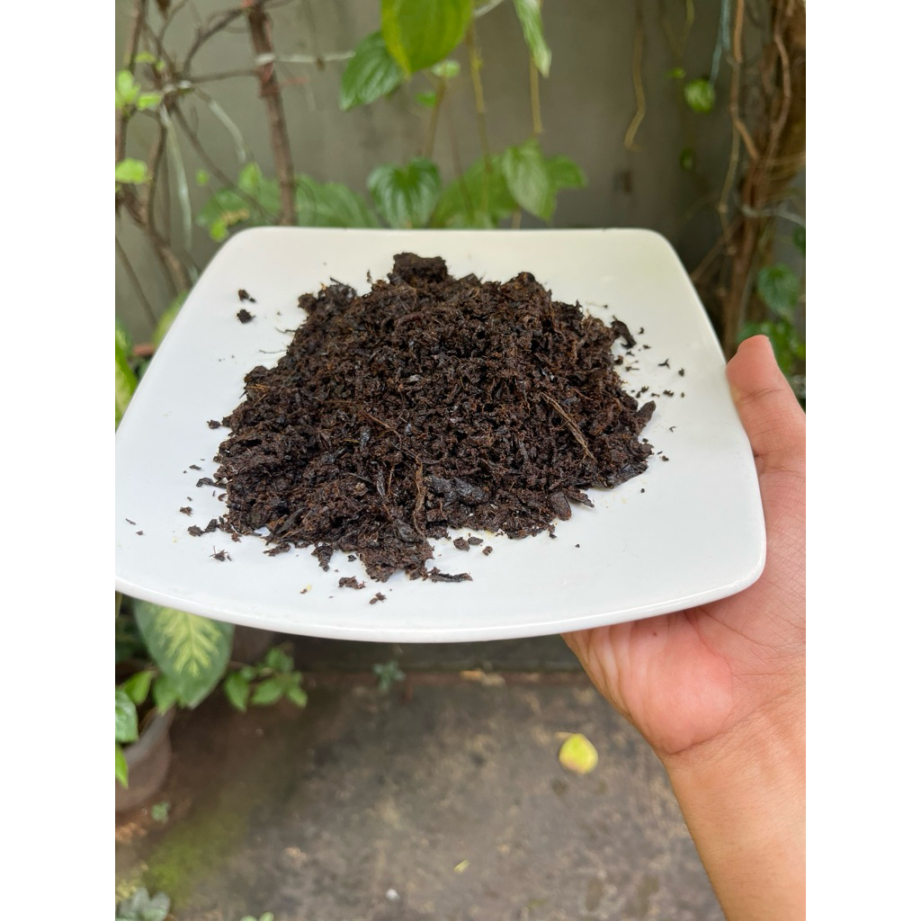 

Rendang Belut Padang