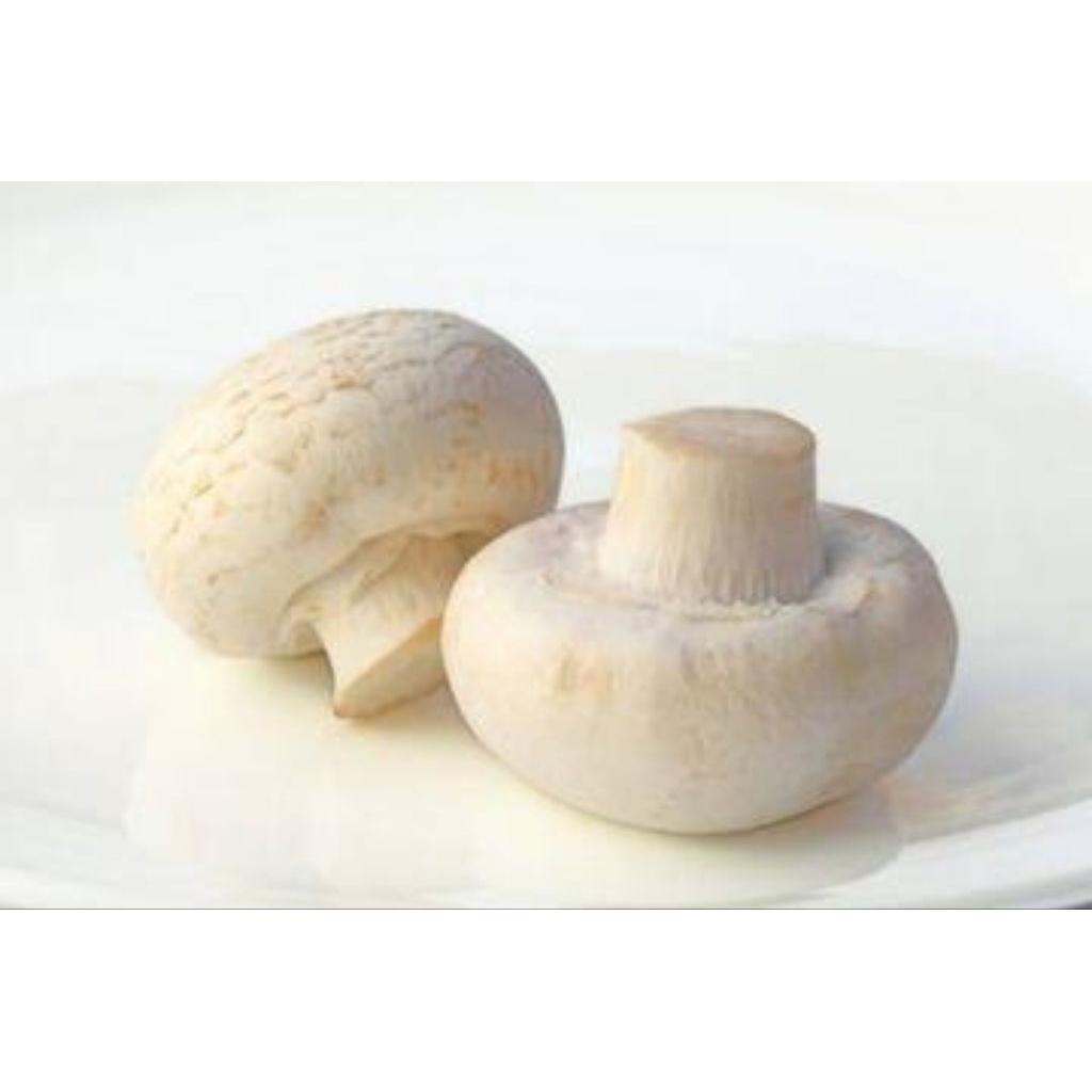 

Jamur Kancing Putih Segar - Per Pack 120gr