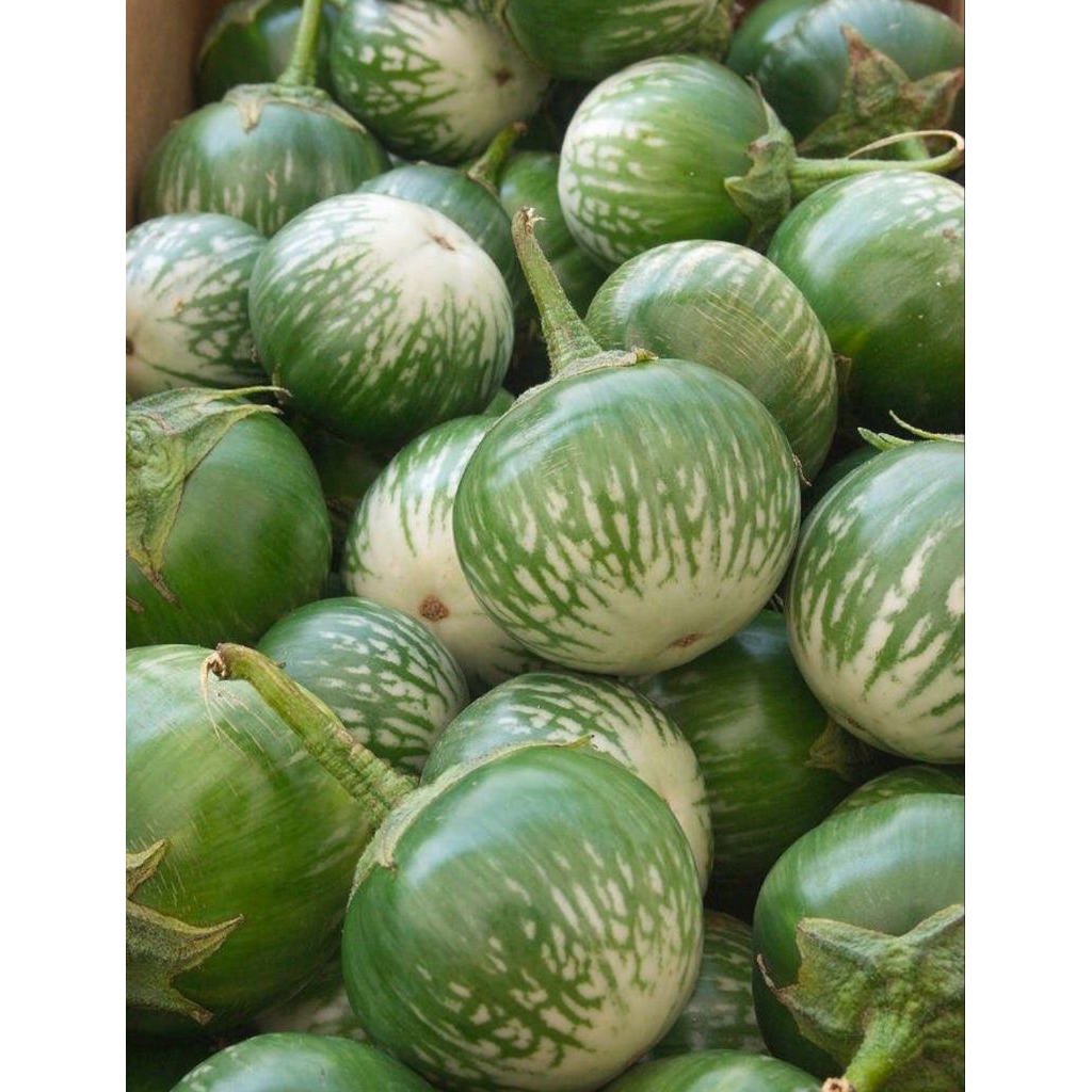 

terong bulat / terong ijo 500gr