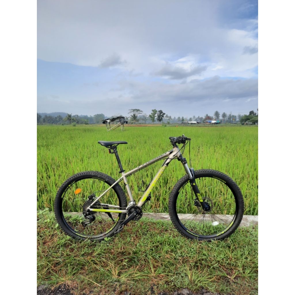 POLYGON PREMIER 5 TAHUN 2022