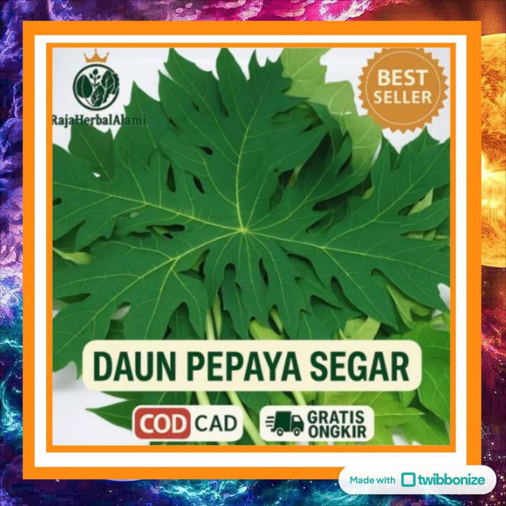 

Daun Pepaya Segar Per Lembar – Sayur Herbal Penambah Nafsu Makan & Pelancar Pencernaan