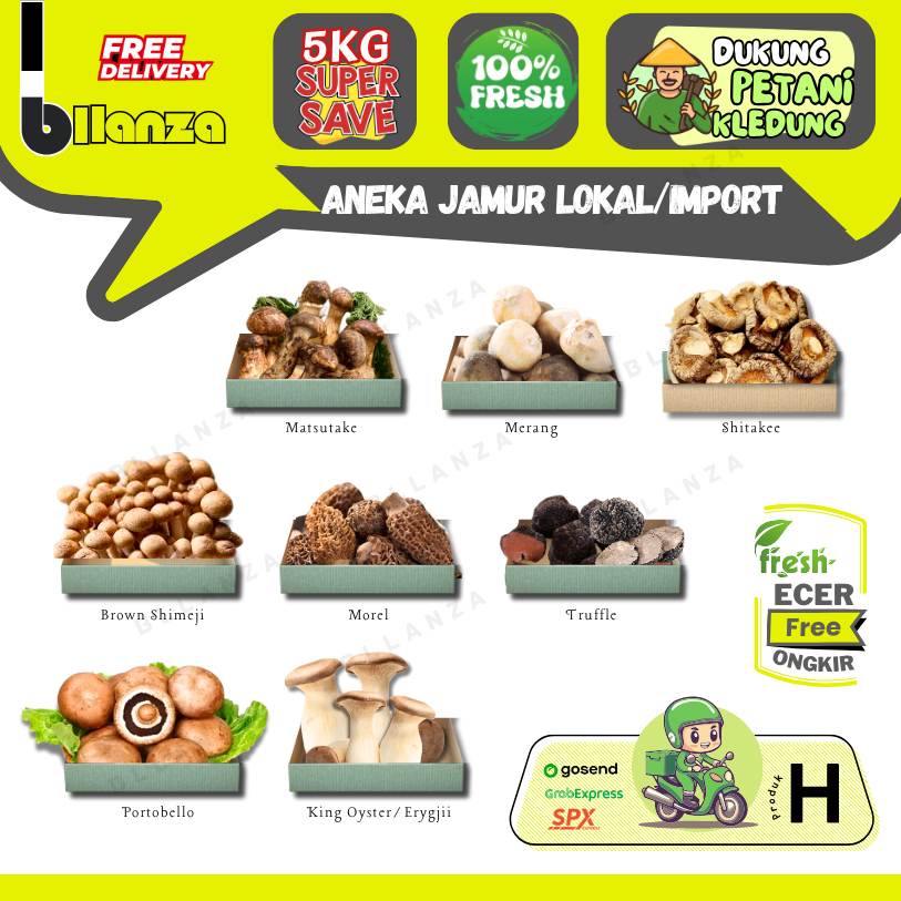 

Bllanza | Aneka Jamur Lokal / Import — Sayur Gunung Ecer (H)