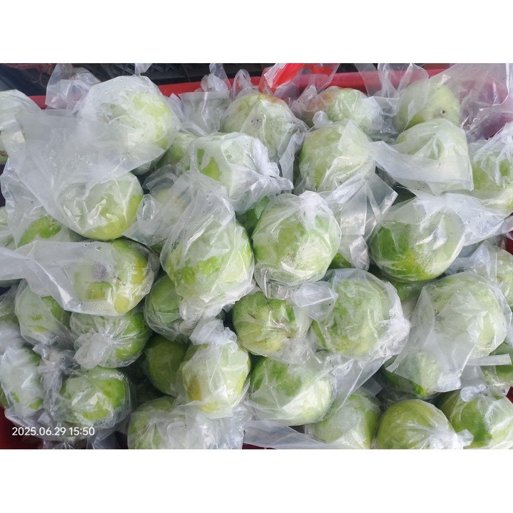 

Jambu Kristal.fres 1 KG isi Random