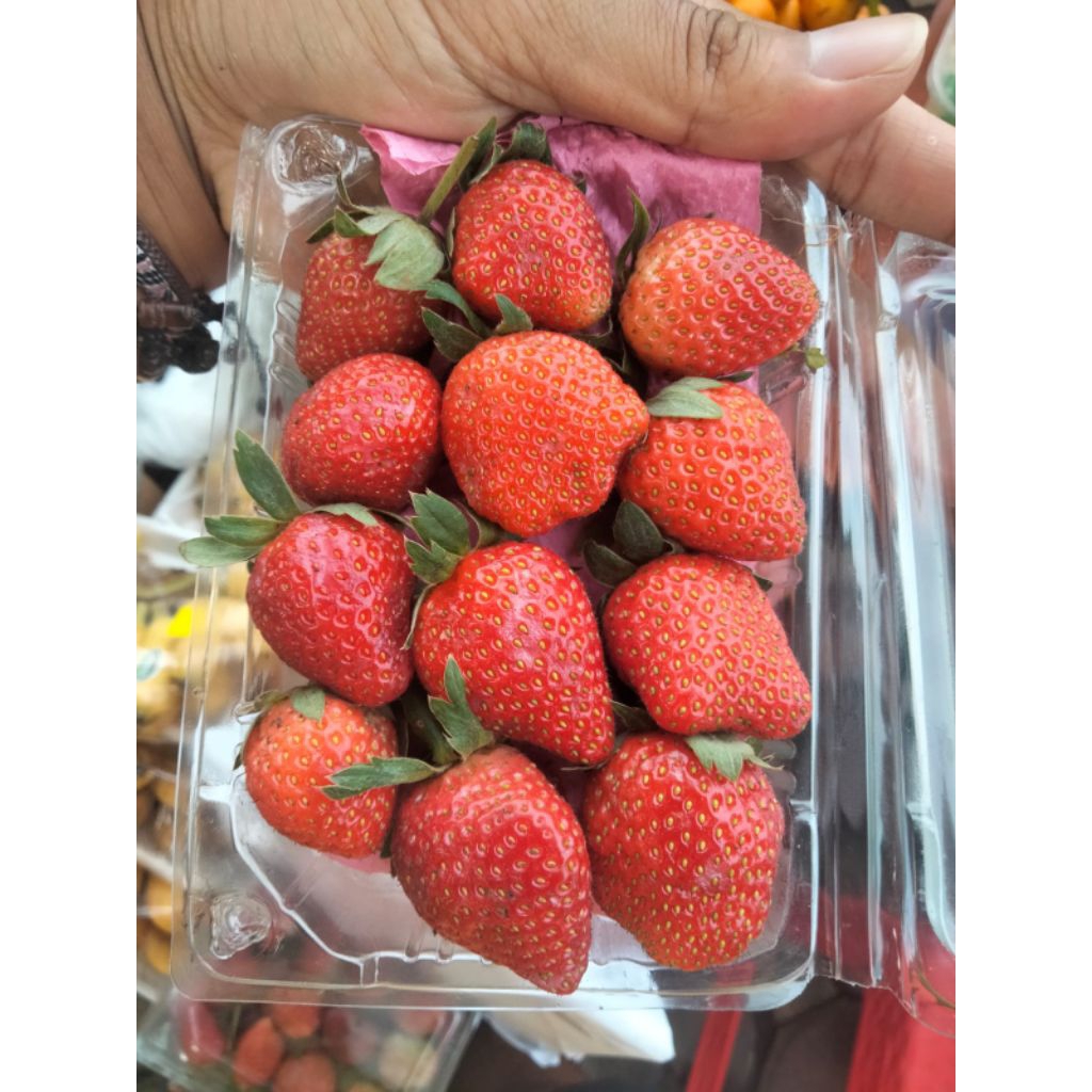 

STRAWBERY FRESH / STRAWBERRY PER MIKA