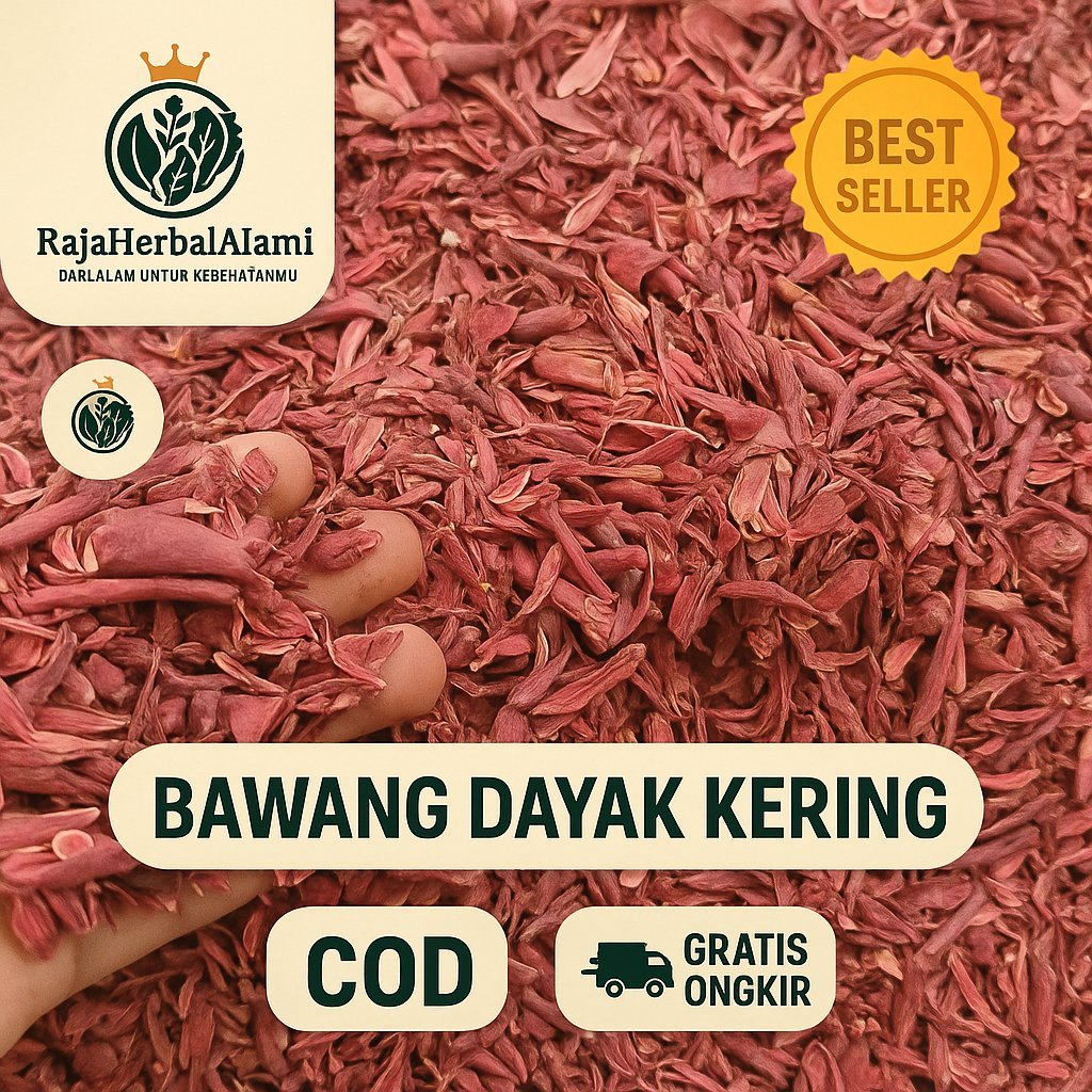 

Bawang Dayak Kering 1Kg – Asli Kalimantan Obat Alami Kolesterol, Gula Darah | COD