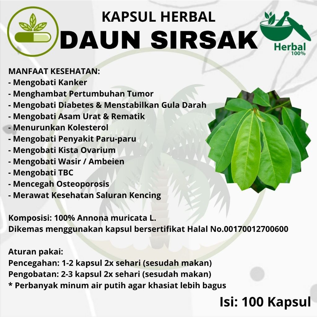 

Kapsul DAUN SIRSAK isi 100 Suplemen Herbal Jamu Asli | Mengobati Kanker, Mencegah Tumor, Mengobati Diabetes, Mengobati Asam Urat & Rematik, Menurunkan Kolesterol, Mengobati Paru-Paru, TBC, Wasir, Ambeien, Anti Aging