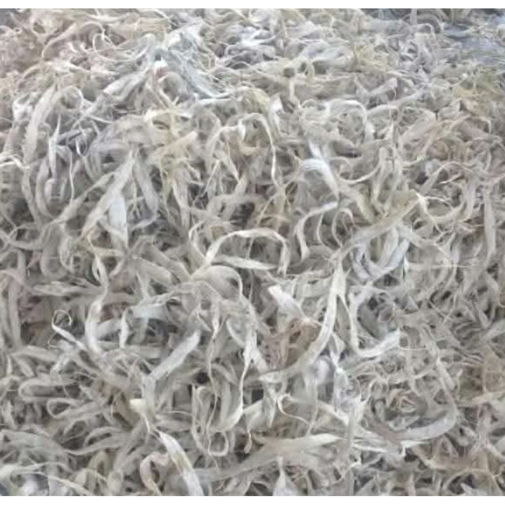 

ikan Layur asin