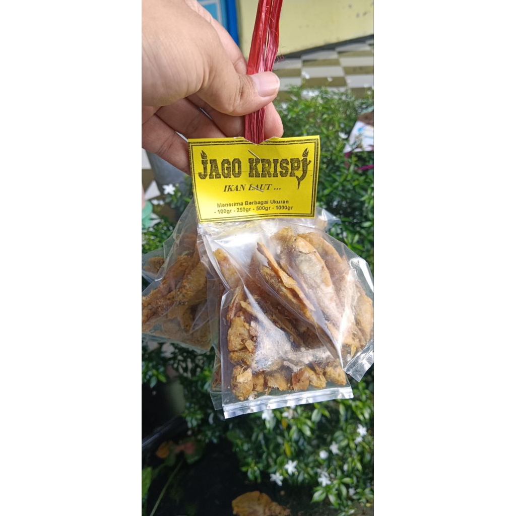 

ikankrispi/babyfishkrispy/isi10pcs