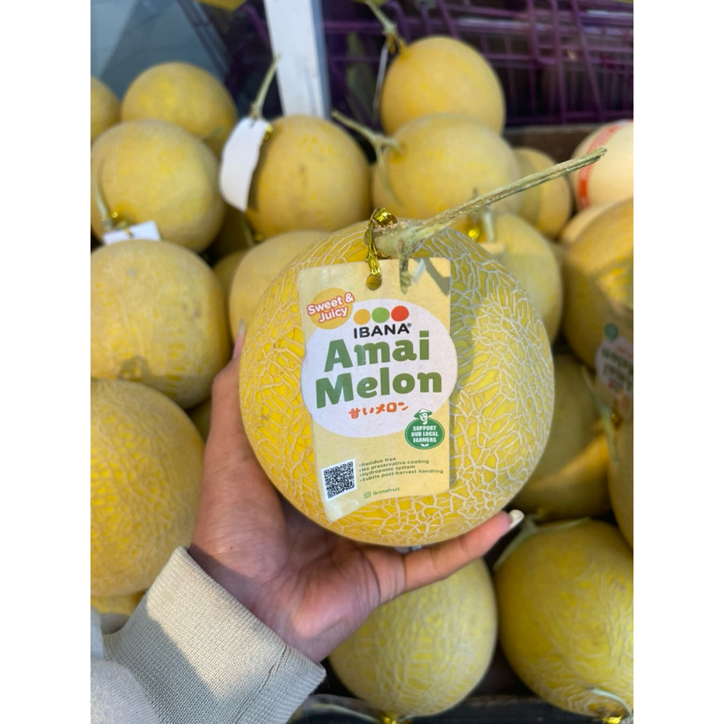 

Melon Ibana Sweet Juicy Fressh | Pcs