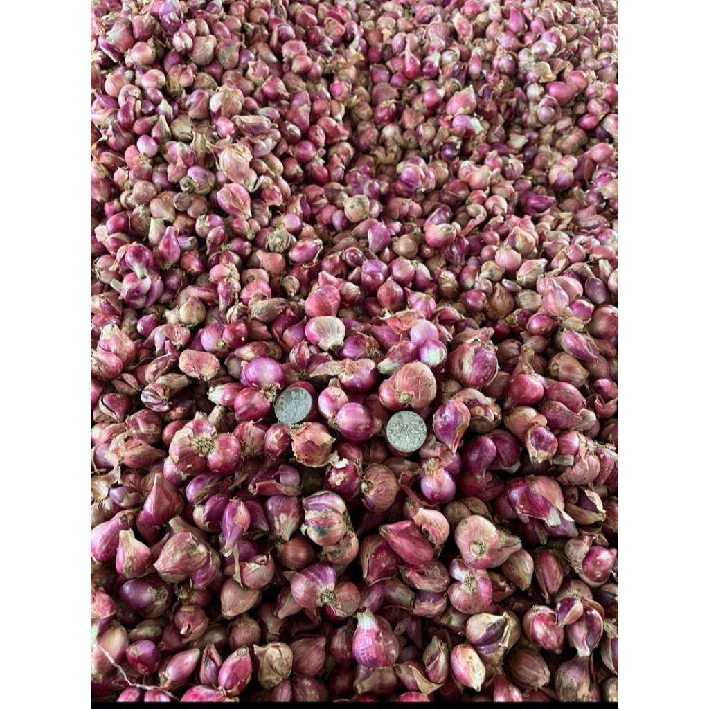 

bawang merah 1kg