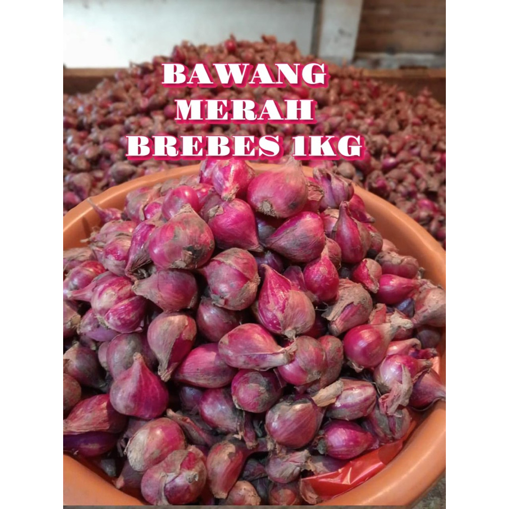 BAWANG MERAH BREBES ASLI Promo kering Fresh hasil petani brebes