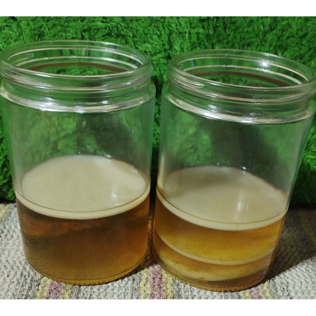 

Kombucha scooby aktif ( cepat beranak ) 9cm beli 3 free 1