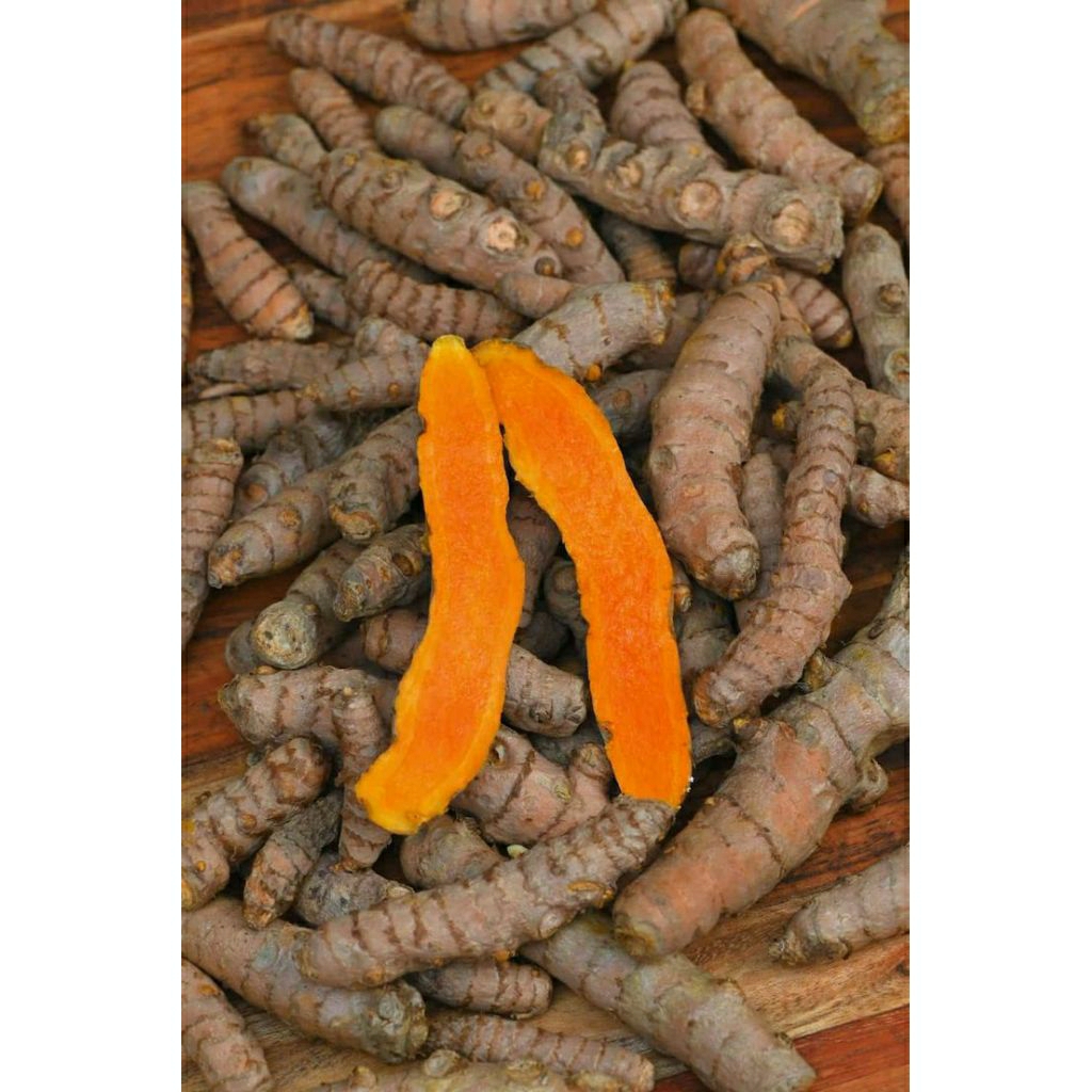 

kunyit kuning sayur segar 1kg