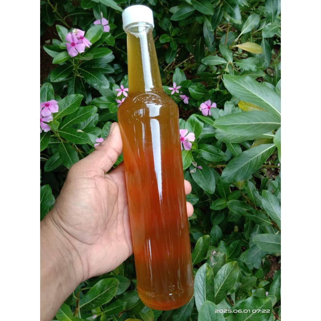 

Jawa madu hutan liar 100% asli dan murni