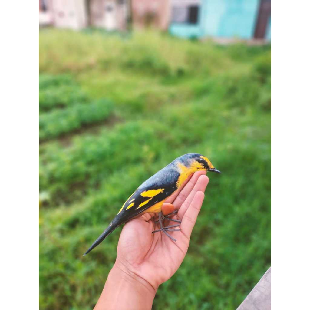 PATUNG JONTROT BURUNG MANTENAN KUNING MIRIP ASLI - JONTROT BURUNG MANTENAN KUNING DIJAMIN AMPUH
