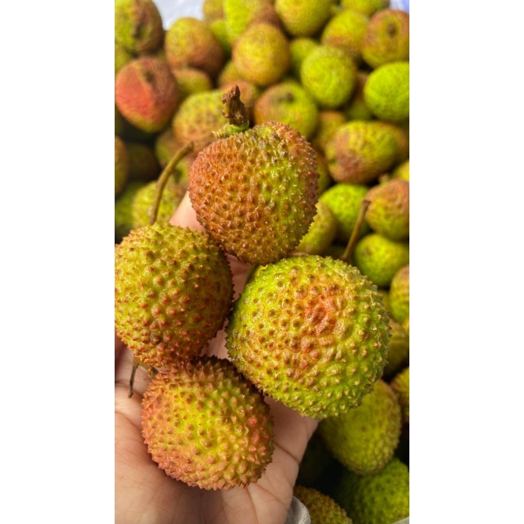 

Buah Leci Lychee Hijau // Merah Madu Manis Segar Import