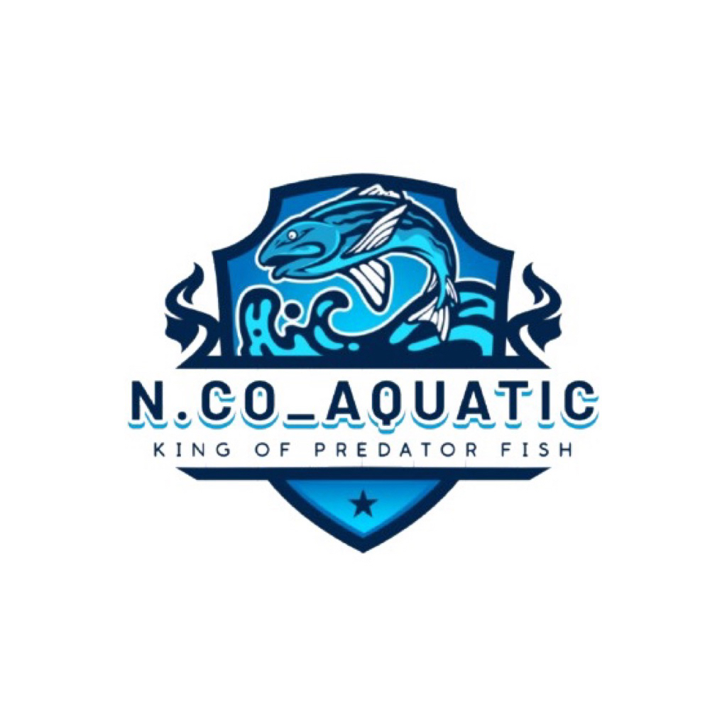 Vitamin cairan  Chana Blue Pulchra