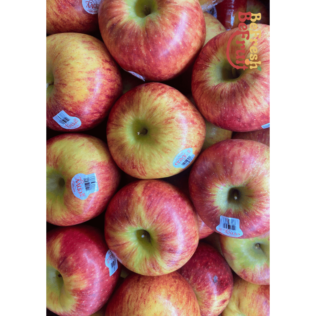 

Buah Apel Envy New Zealand Apel