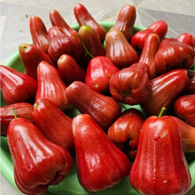 

Jambu Air Citra Merah, jambu citra merah,manis,fresh selalu,kemasan 1kg