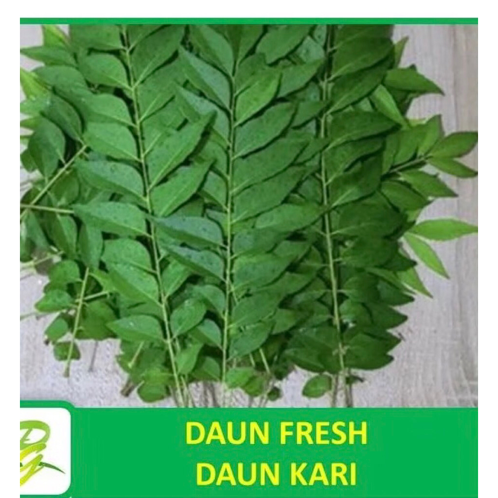 

Daun Kari Petik Segar