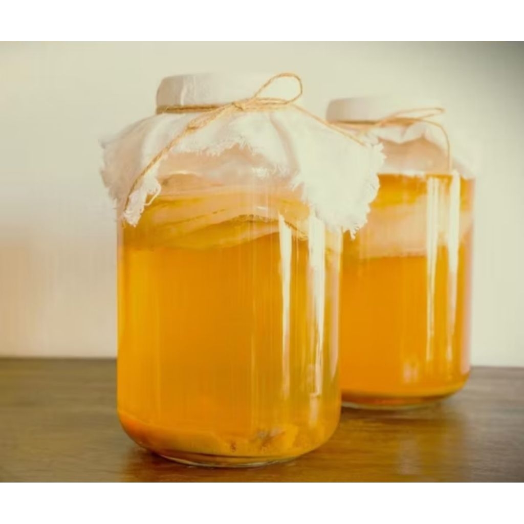 

SCOBY Besar ASLI HIDUP Tebal 1-2 cm Diameter 17cm + starter