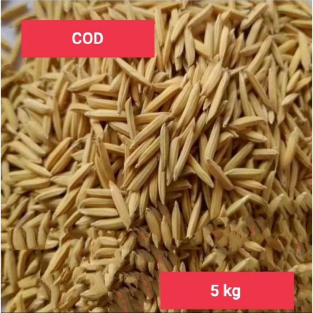 BENIH PADI BASMATI KEMASAN 5KG