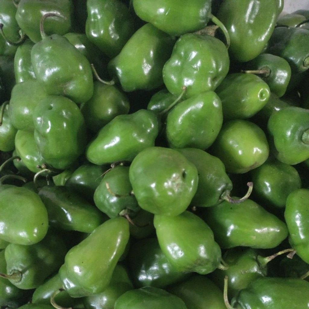 

Cabe bendot super 350g