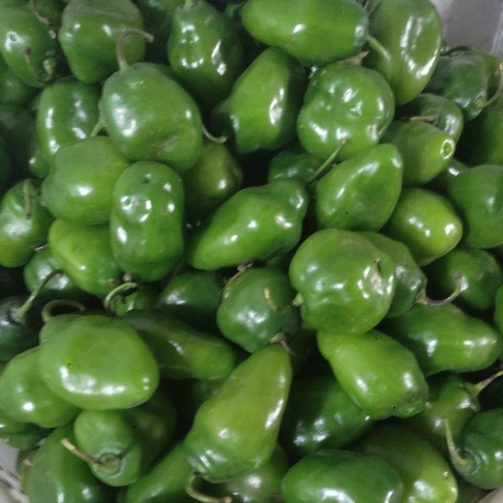 

Cabe bendot super seger 750 gram