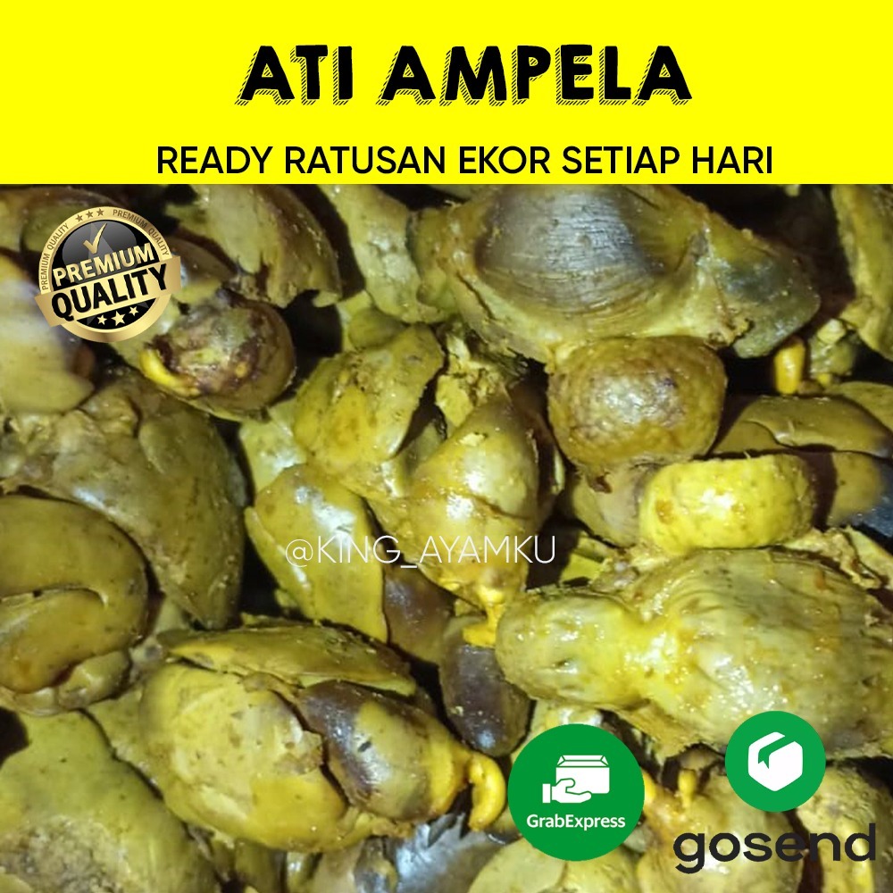 

ATI AMPLA AYAM PEJANTAN BUMBU KUNING (ASIN)