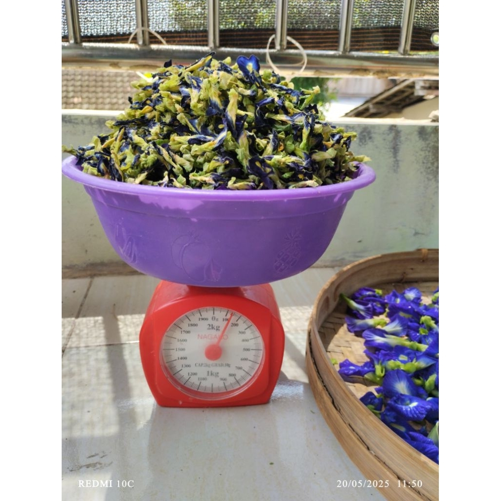 

Bunga Telang kering 200 gram