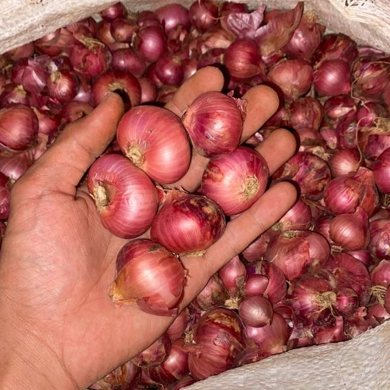 

Bawang Merah Super Murah 1kg Ukuran Besar dan sedang