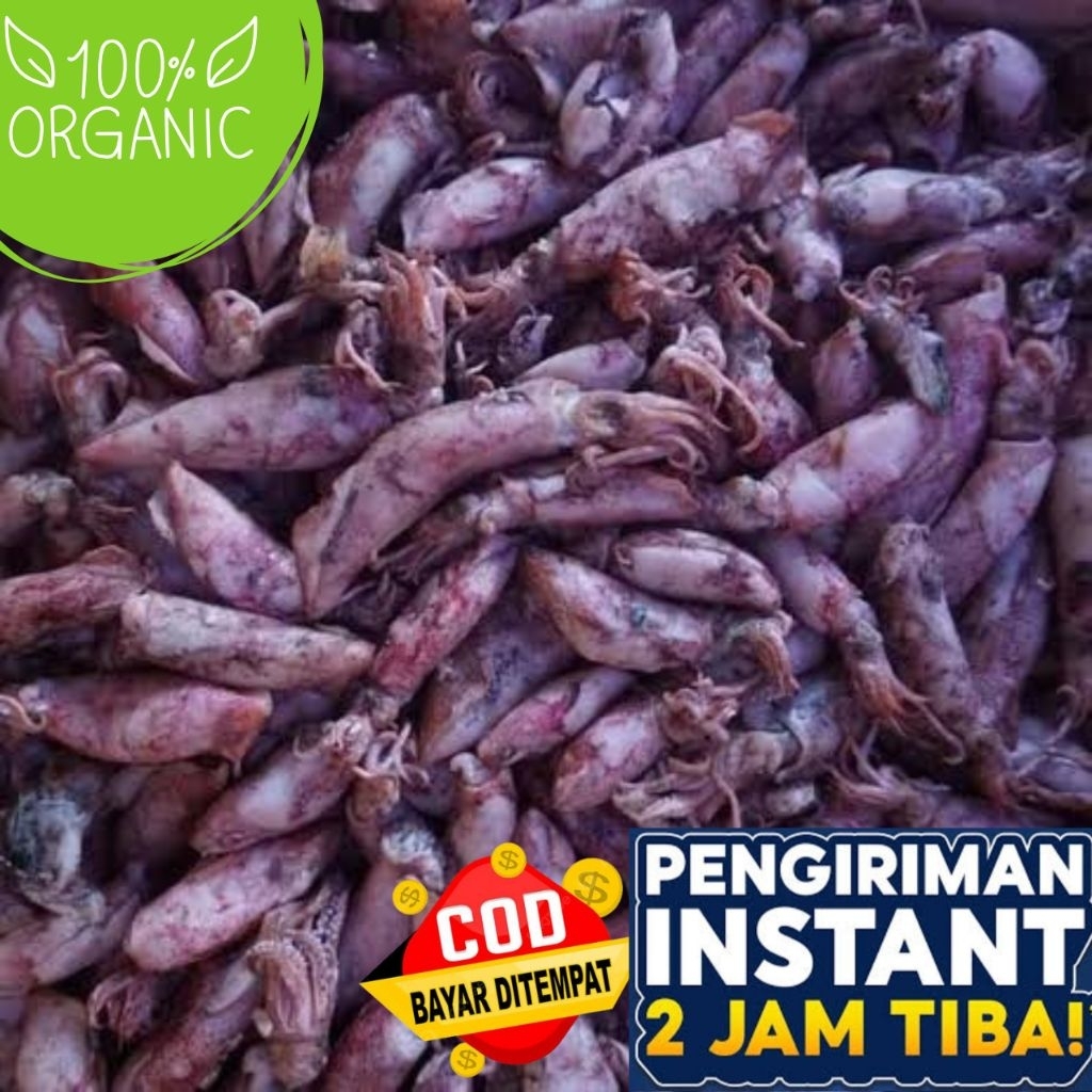 

Cumi asin 50 gram