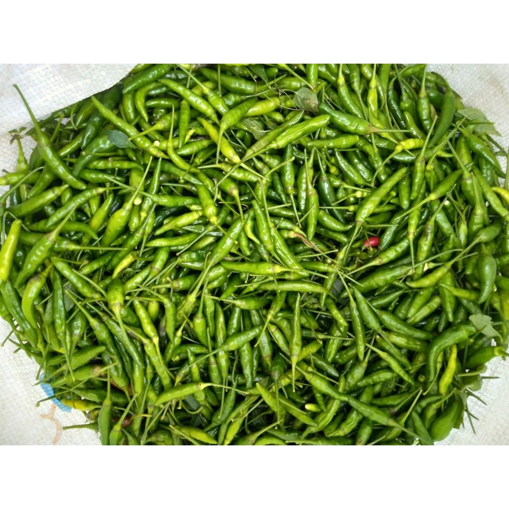 

cabai cabe hijau cabe segar