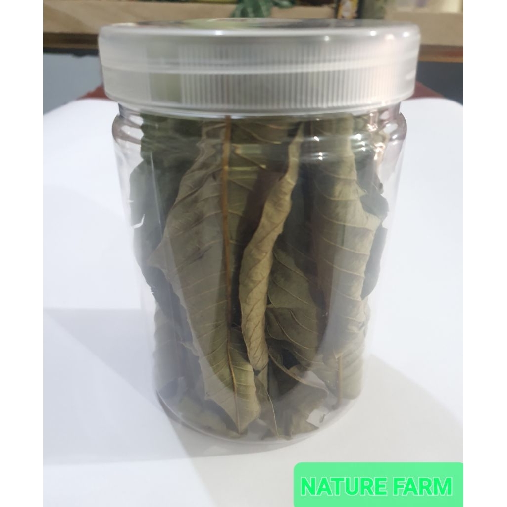 

Nature Farm Premium Daun Jambu biji kering - Teh Daun Jambu Biji