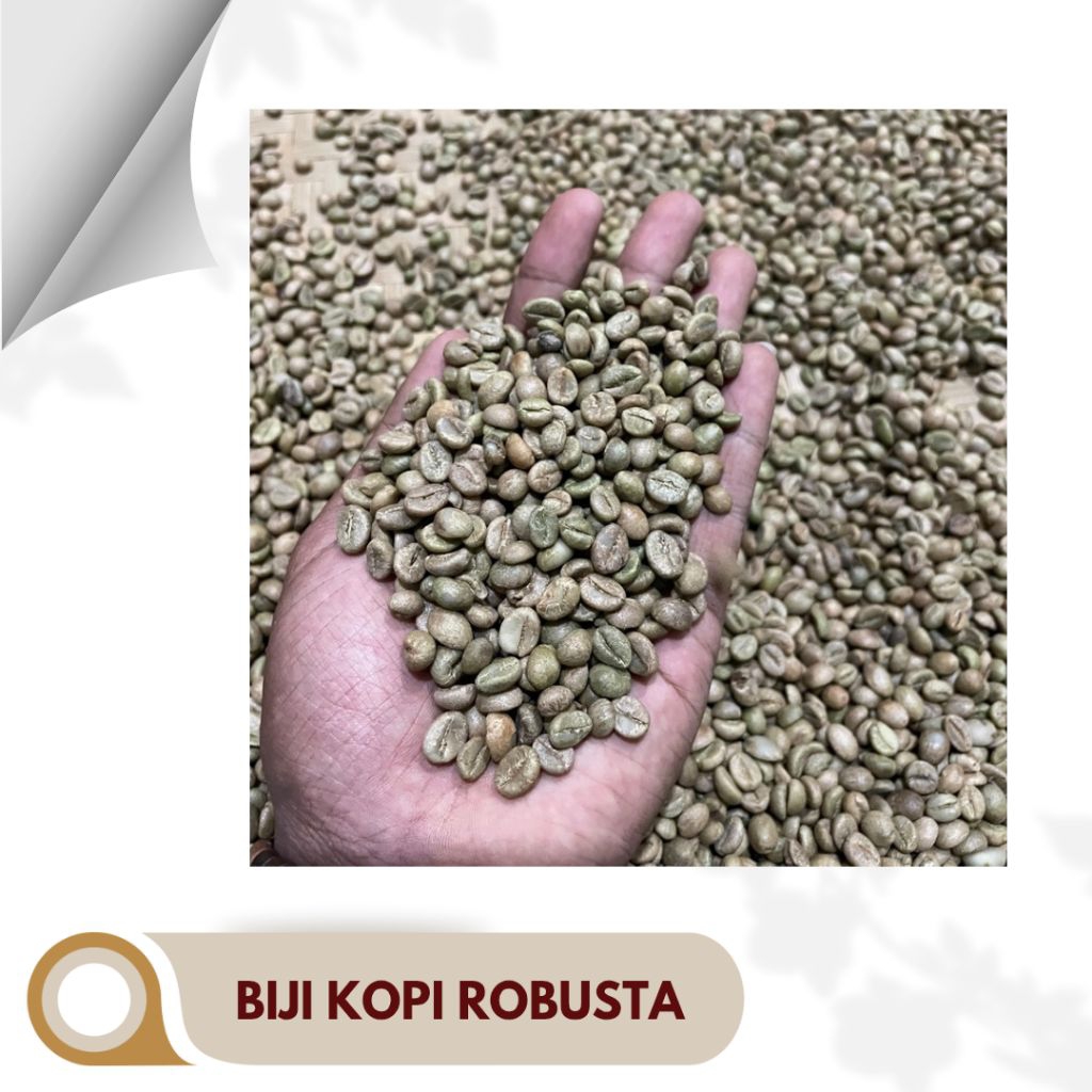 

Green Bean Kopi Robusta 1Kg | Biji Kopi Mentah Asli | Cocok untuk Roaster & UMKM
