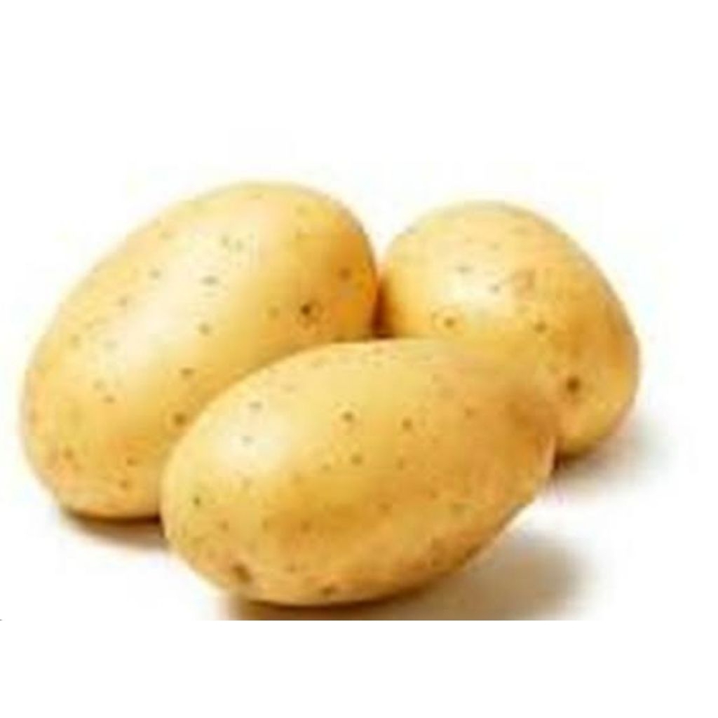 

sayur kentang sedang 500gr,1kg