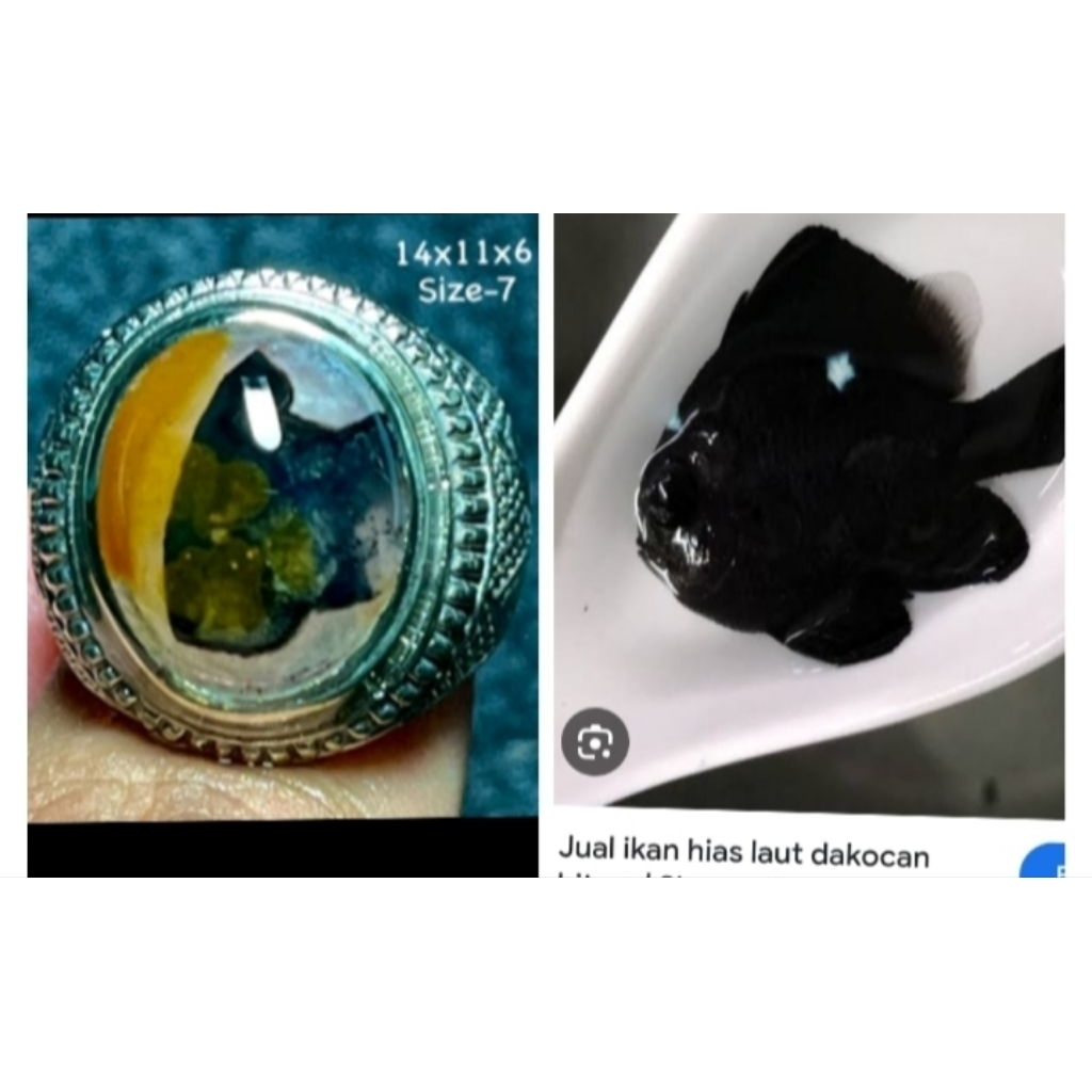 Batu akik gambar ikan asli alam