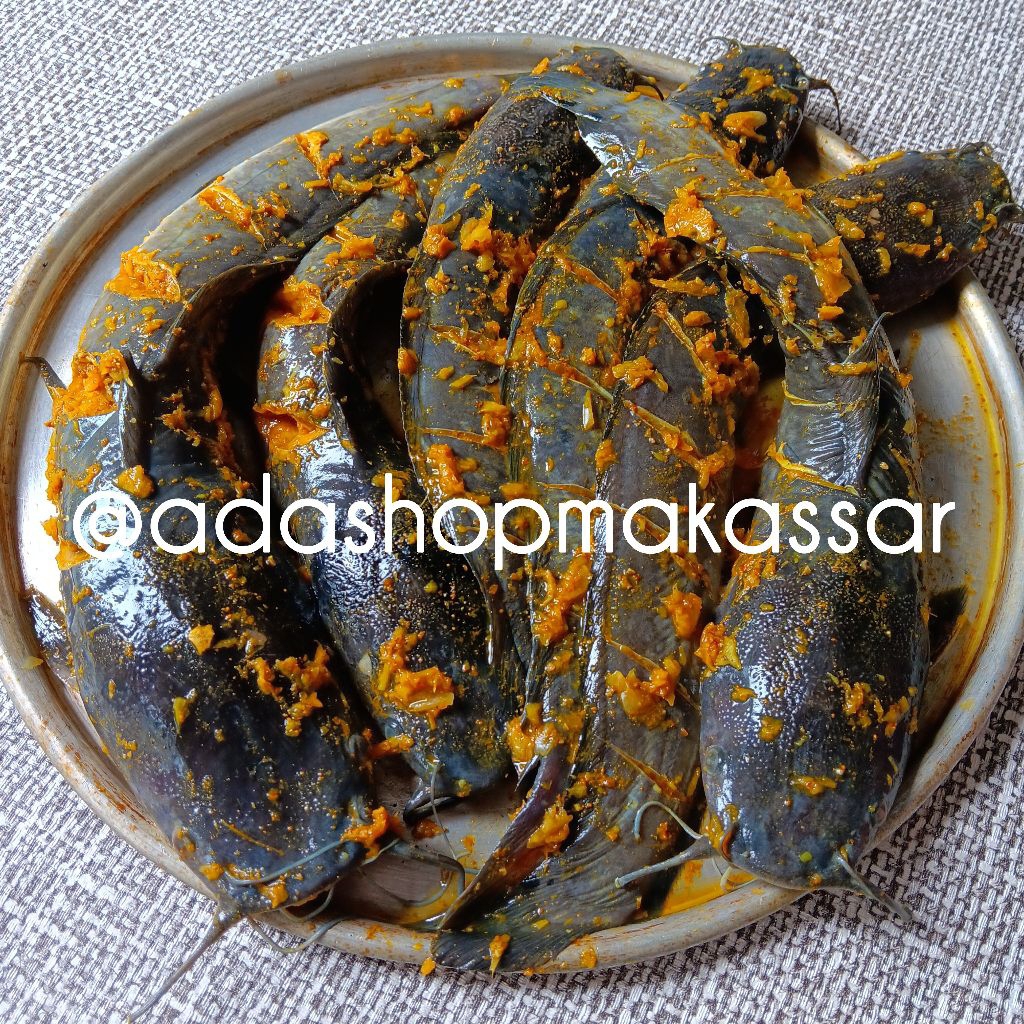 

Ikan Lele Bumbu Kuning Siap Goreng (500 gram)
