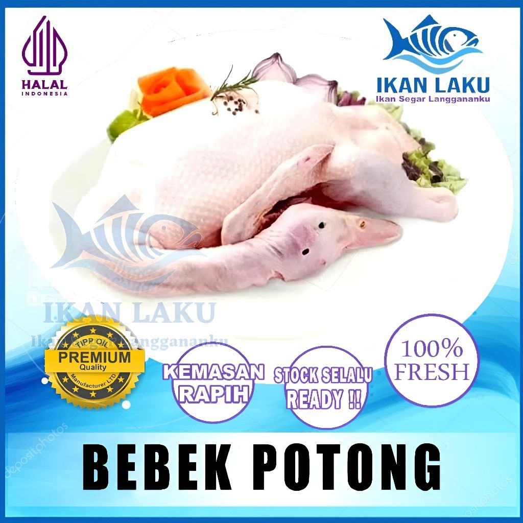 

PRODUK BARU!!! BEBEK UTUH PREMIUM FRESH TERMURAH BERGARANSI IKAN LAKU IKAN SEGAR IKAN BEKU