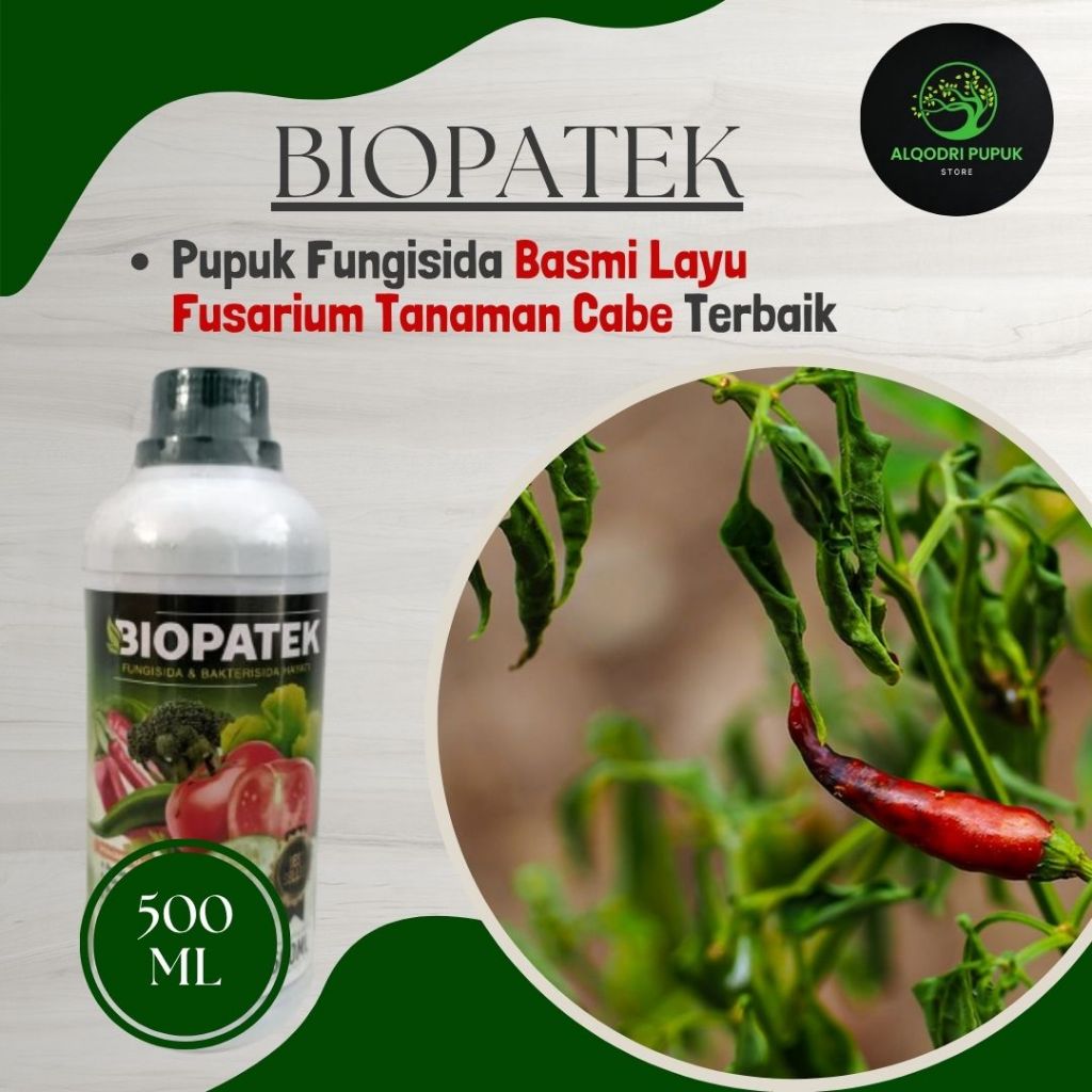 OBAT SEMPROT CABE BUSUK TERBAIK - BIOPATEK 500ML - Pupuk organik atasi kuning bulai keriting cabe