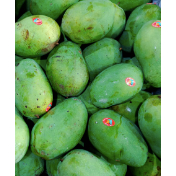 Mangga Harum Manis Medan Daily Market